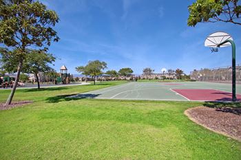 A basketball court in a park with trees